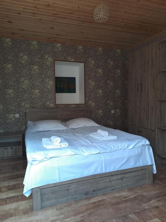 Irina'S Guesthouse เมสเตีย ภายนอก รูปภาพ
