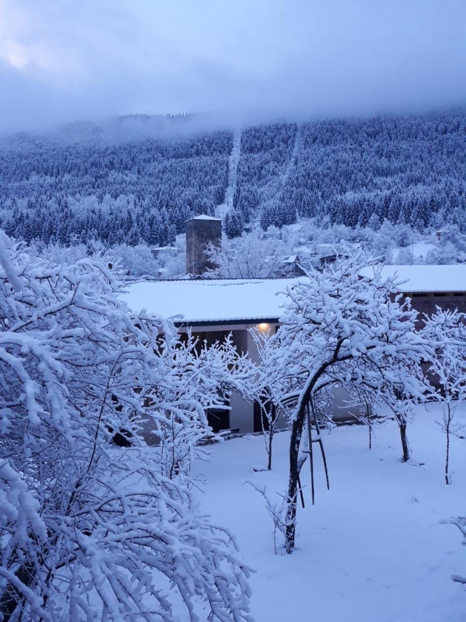 Irina'S Guesthouse เมสเตีย ภายนอก รูปภาพ