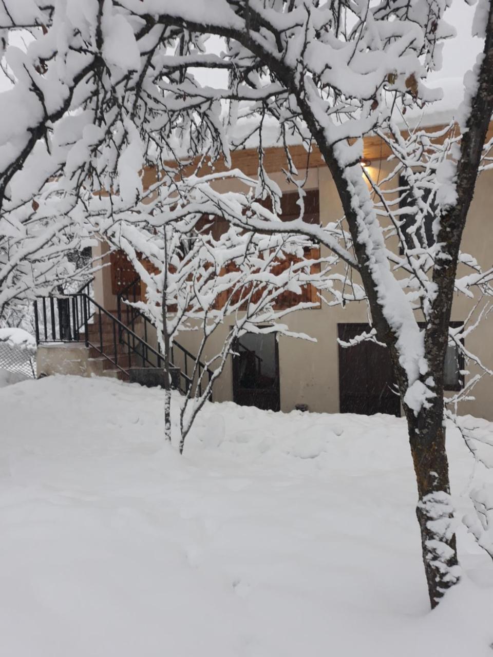 Irina'S Guesthouse เมสเตีย ภายนอก รูปภาพ