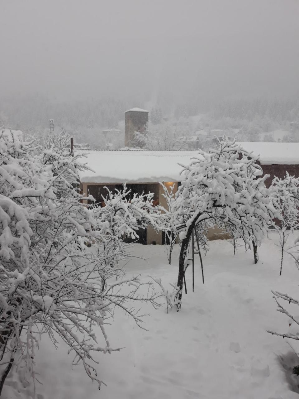 Irina'S Guesthouse เมสเตีย ภายนอก รูปภาพ